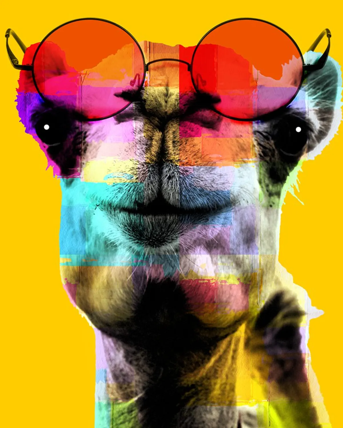 Pop-art camel wearing oversized red sunglasses on yellow
