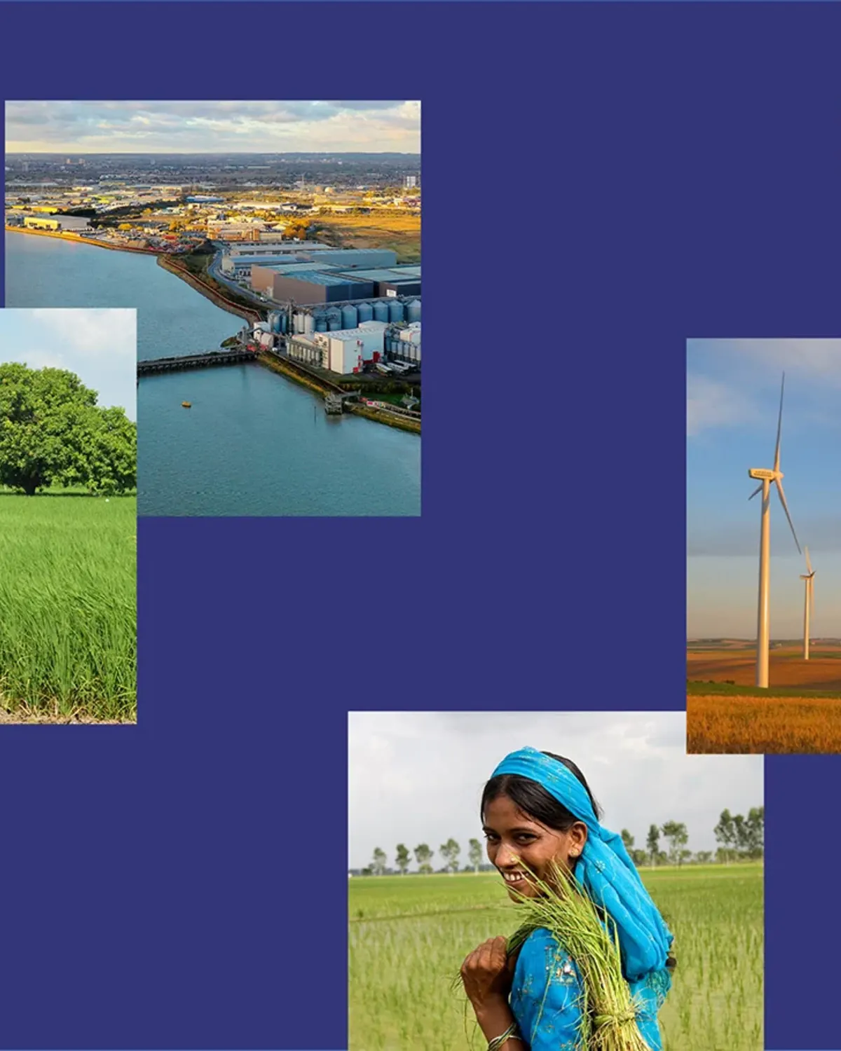 Collage of rice farming, wind energy and waterfront production